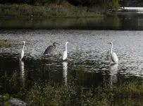 K1600_DSCN0428.webp