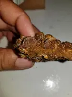 thumbnailFMSSBHM57777.webp