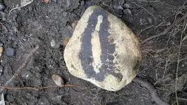 20180818_141434.webp
