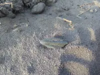 IMG_20180710_190347.webp