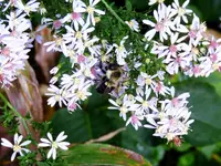 K1600_DSCN0969.webp