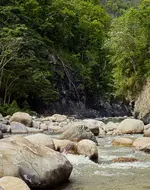 DSC_0237aa.webp