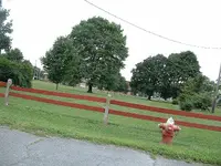 DSCF0010.webp