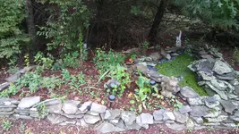 Garden and fish pond.webp Garden and fish pond.webp