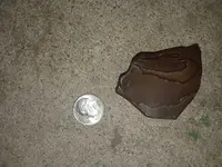 20180926_115321.webp