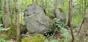 20180812_103750.webp