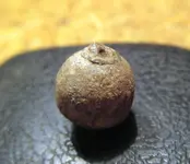 Musket ball 4.webp