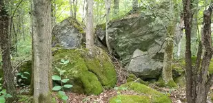 20180812_103719.webp