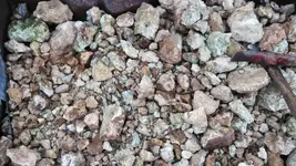 IMG_20181013_075330.webp