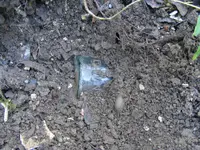 DSCF6725.webp