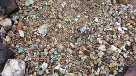 IMG_20181013_075420.webp