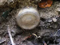 DSCF6756.webp