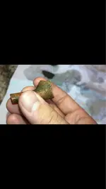 ImageUploadedByTreasureNet.com1536431408.354797.webp