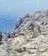 Indian warrior profile.webp