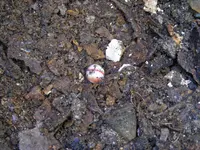 DSCF6778.webp