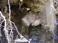 DSCF6780.webp