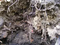 DSCF6812.webp