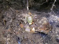 DSCF6895.webp
