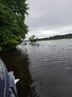 Resized_20180819_142742_5977.webp