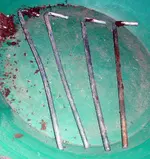 DSCF0009(1).webp