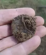 NJ - dirt.webp