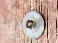 20181002_115201.webp