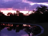 DSCN7156_1.webp
