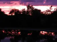 DSCN7157_1.webp
