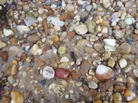 20180820_085557.webp 20180820_085557.webp