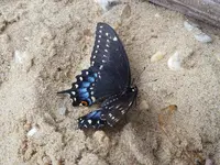 20180820_114731.webp 20180820_114731.webp