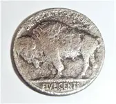 1935 Buffalo Nickel Reverse Post-cleaning.webp