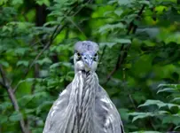 K1600_DSCN0377.webp