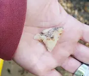 Triangle point 10-13-18.webp