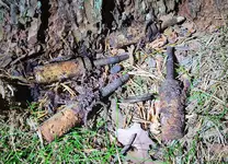 IMG_20180830_205857__01.webp