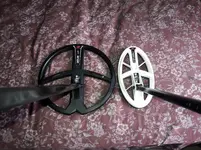 20181004_155746.webp