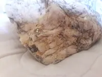 20180917_105621.webp