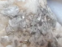 20180917_111933.webp