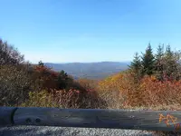 DSCN1355.webp