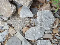 20180817_115659.webp
