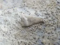 20180820_175702.webp