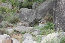 IMG_7373.webp