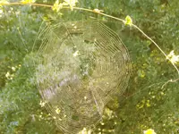 DSCN2214.webp