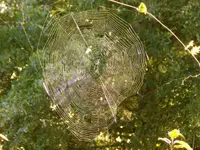 DSCN2215.webp