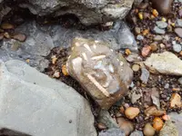 20180817_114038.webp