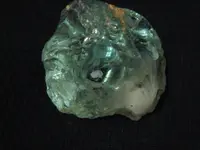 DSC00659 (1).webp