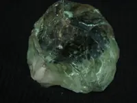 DSC00661 (1).webp