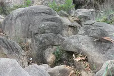 IMG_7390-1.webp