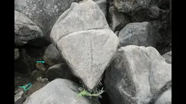 20180804_131352.webp