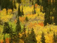 trip 091618 kay 7.webp