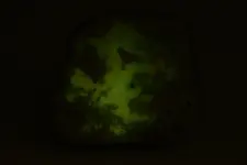 fl afterglow.webp